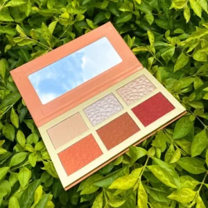 6 Color Blush & Highlighter Combination Palette, Long Lasting 3D Face Contour Brightening Side Shadow Facial Makeup