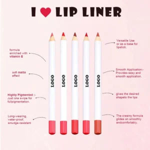 Custom 3 In 1 Matte Lipstick Hydrating Lip Gloss & Lip Liner Complete Long Wear Lip Makeup Kit