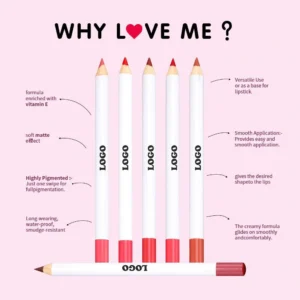 Custom Private Label No Logo Matte Non-transfer Lipstick & Lip Liner Lip Makeup Set