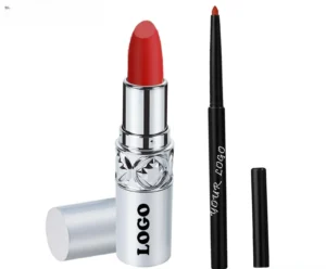Custom 2 In 1 Waterproof Hydrating Mirror Lipstick & Lip Liner Long Wear Lip Makeup Set