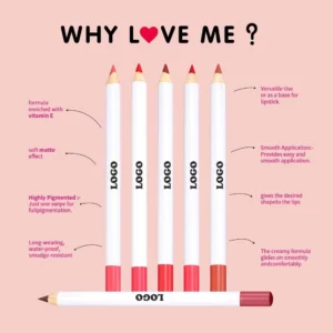 Custom Waterproof Color Lock Shimmer Hydrating Lipstick & Lip Liner Long Wear Lip Makeup Set