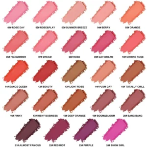 Custom Private Label No Logo Waterproof Oil Control Matte Blush Palette, Non-Caking Long Lasting Natural Facial Rouge