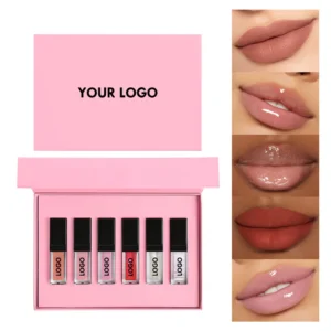 Private Label No Logo 6 Pcs Lip Gloss Set with Clear Tube & Black Cap, Hydrating Long Wear Plumping Lip Cosmetic Kit