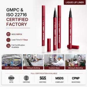 Private Label No Logo Gothic Style Matte Liquid Lip Liner, Waterproof Smooth Highly Pigmented Precise Lip Contour Makeup