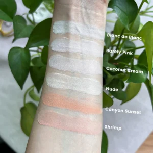 Private Label No Logo Waterproof Oil Control Loose Setting Powder, Concealing Transfer Resistant Long Lasting Facial Finishing Makeup
