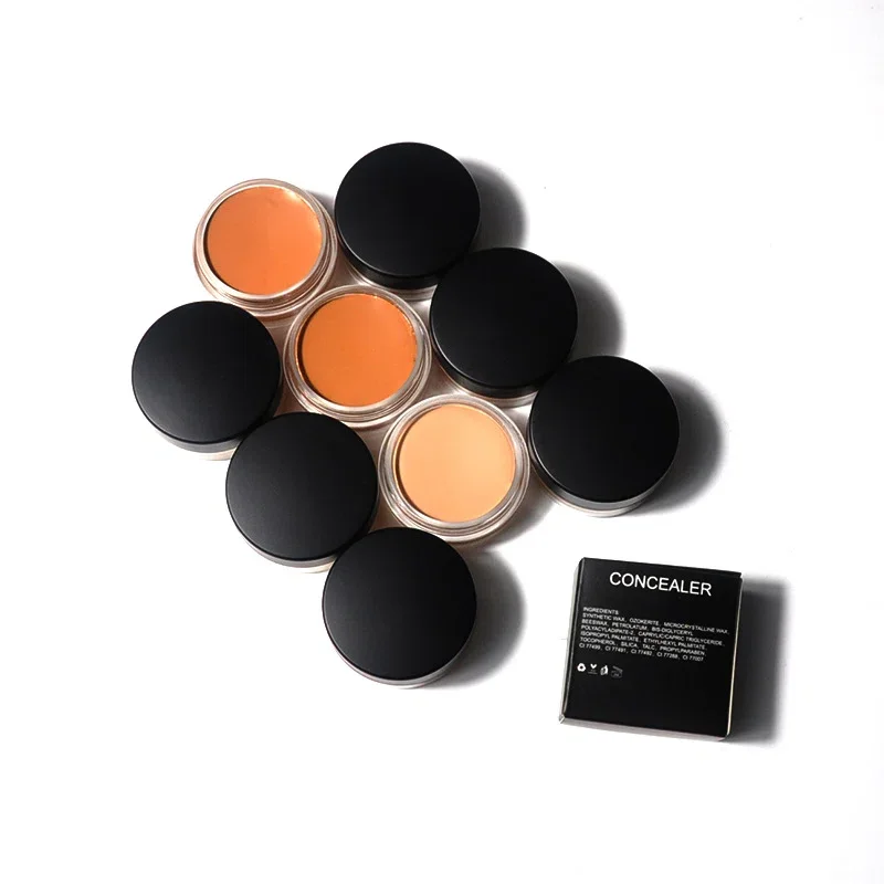 Private Label No Logo 10 Shades Face Concealer Cream, Blemish Coverage Contour Concealer Makeup