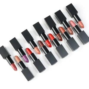 Private Label No Logo Magnetic Lipstick, Glossy & Matte Finish Waterproof Sweat Proof Non-transfer Lip Color
