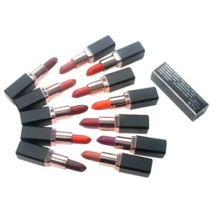 Private Label No Logo Matte Square Tube Lipstick, White & Black Tube Non-transfer Lip Color for Export